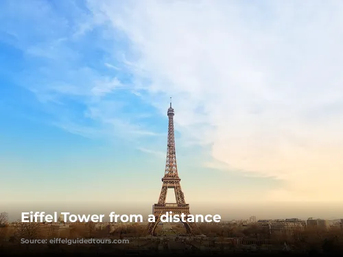 Eiffel Tower from a distance