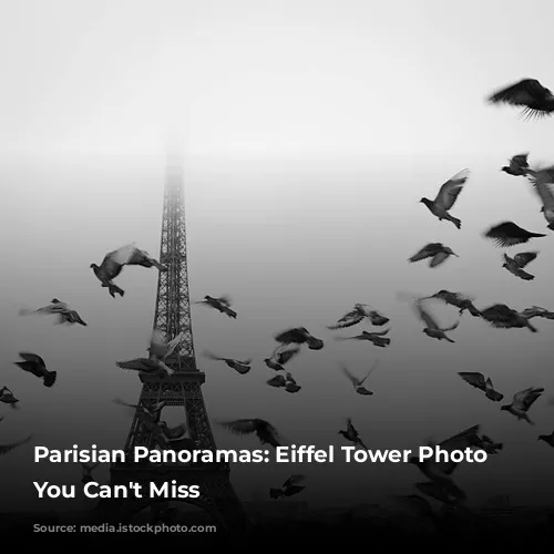 Parisian Panoramas: Eiffel Tower Photo Spots You Can't Miss