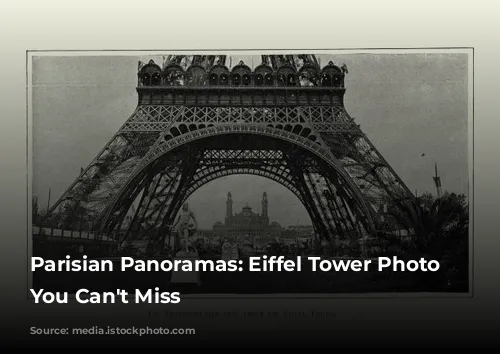 Parisian Panoramas: Eiffel Tower Photo Spots You Can't Miss