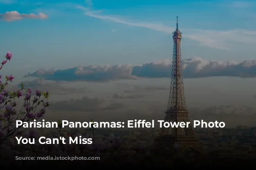 Parisian Panoramas: Eiffel Tower Photo Spots You Can't Miss