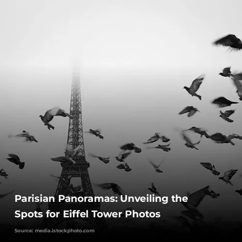 Parisian Panoramas: Unveiling the Best Spots for Eiffel Tower Photos