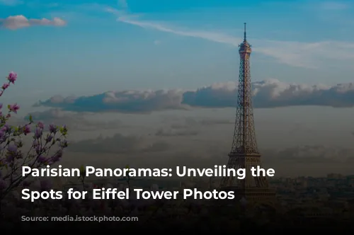 Parisian Panoramas: Unveiling the Best Spots for Eiffel Tower Photos