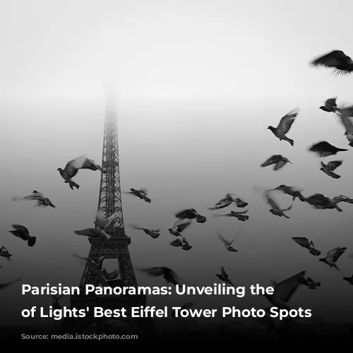 Parisian Panoramas: Unveiling the City of Lights' Best Eiffel Tower Photo Spots