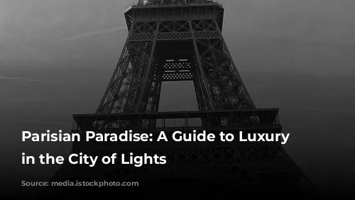 Parisian Paradise: A Guide to Luxury Hotels in the City of Lights