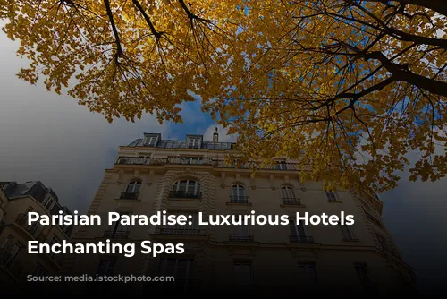 Parisian Paradise: Luxurious Hotels with Enchanting Spas