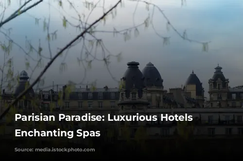 Parisian Paradise: Luxurious Hotels with Enchanting Spas