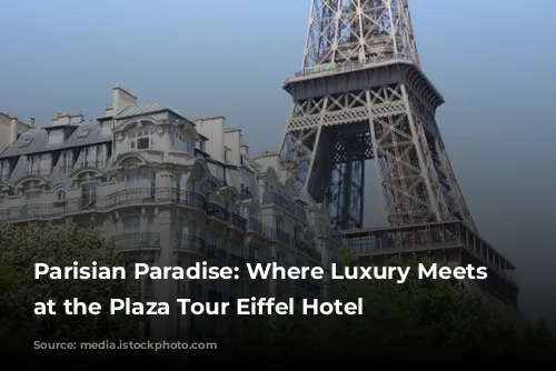 Parisian Paradise: Where Luxury Meets Relaxation at the Plaza Tour Eiffel Hotel