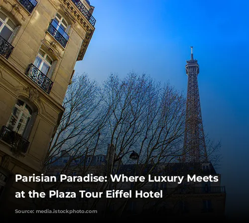 Parisian Paradise: Where Luxury Meets Relaxation at the Plaza Tour Eiffel Hotel