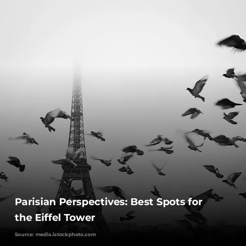 Parisian Perspectives: Best Spots for Capturing the Eiffel Tower