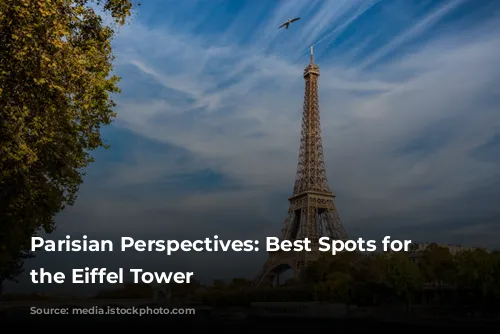 Parisian Perspectives: Best Spots for Capturing the Eiffel Tower