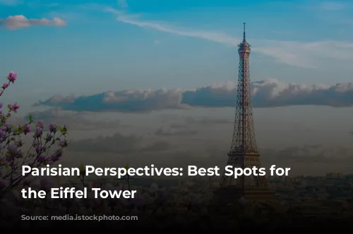 Parisian Perspectives: Best Spots for Capturing the Eiffel Tower