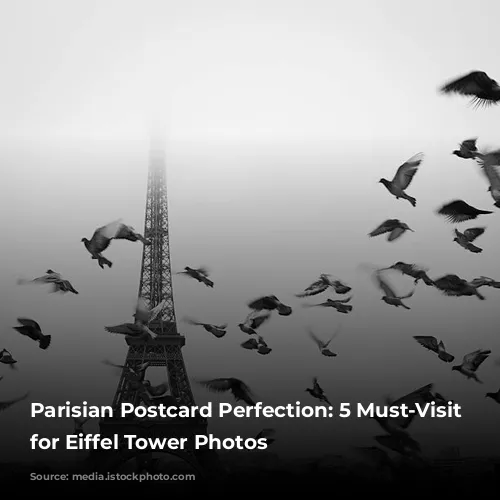 Parisian Postcard Perfection:  5 Must-Visit Spots for Eiffel Tower Photos