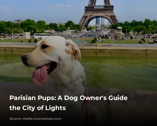 Parisian Pups:  A Dog Owner's Guide to the City of Lights