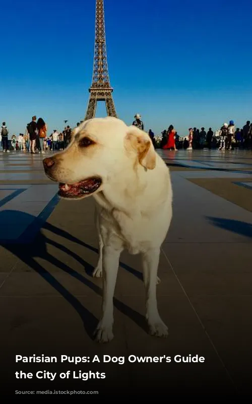 Parisian Pups:  A Dog Owner's Guide to the City of Lights