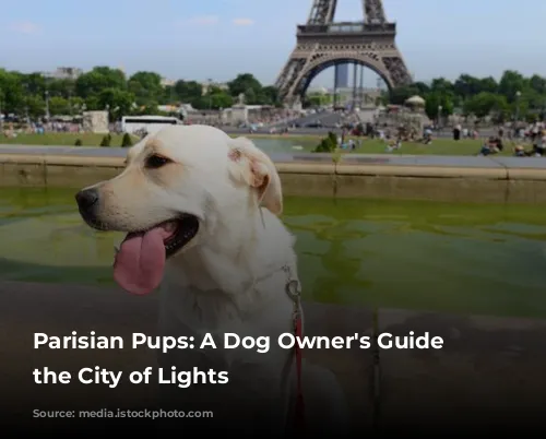 Parisian Pups:  A Dog Owner's Guide to the City of Lights