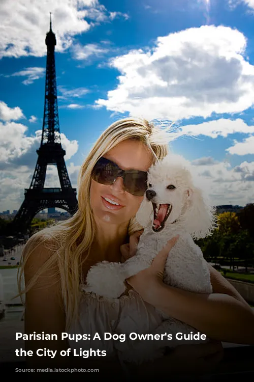 Parisian Pups:  A Dog Owner's Guide to the City of Lights