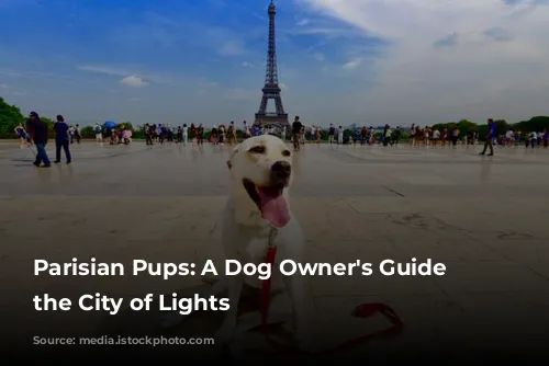 Parisian Pups:  A Dog Owner's Guide to the City of Lights