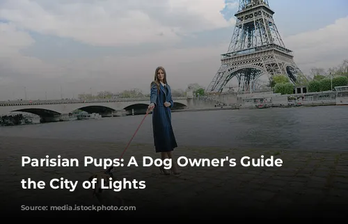 Parisian Pups:  A Dog Owner's Guide to the City of Lights