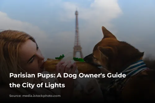 Parisian Pups:  A Dog Owner's Guide to the City of Lights