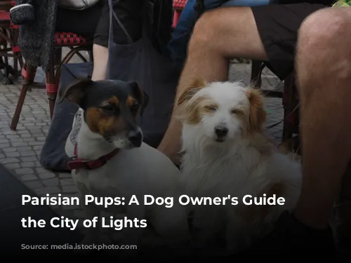 Parisian Pups:  A Dog Owner's Guide to the City of Lights