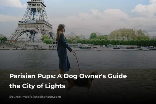 Parisian Pups:  A Dog Owner's Guide to the City of Lights