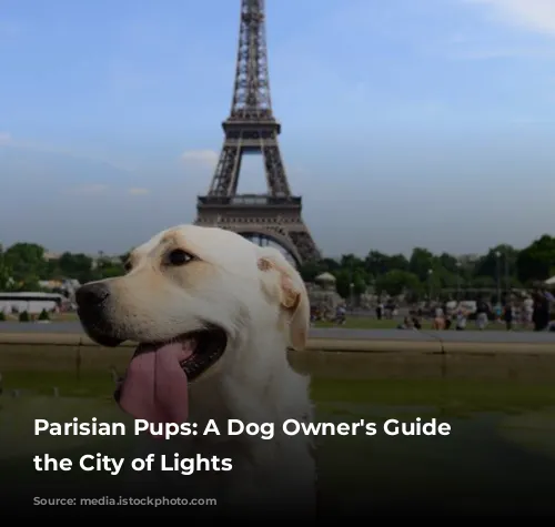 Parisian Pups:  A Dog Owner's Guide to the City of Lights