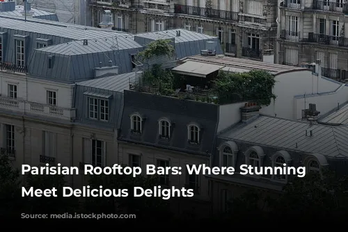 Parisian Rooftop Bars: Where Stunning Views Meet Delicious Delights