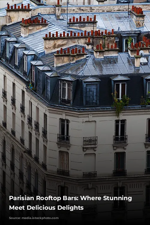 Parisian Rooftop Bars: Where Stunning Views Meet Delicious Delights