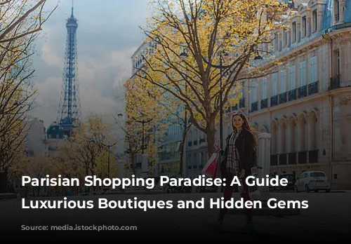 Parisian Shopping Paradise: A Guide to Luxurious Boutiques and Hidden Gems