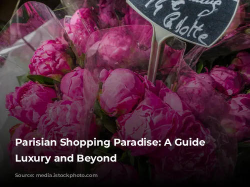 Parisian Shopping Paradise: A Guide to Luxury and Beyond