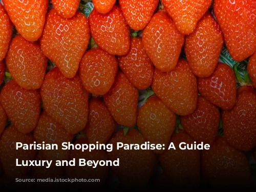 Parisian Shopping Paradise: A Guide to Luxury and Beyond