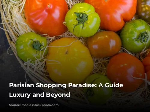 Parisian Shopping Paradise: A Guide to Luxury and Beyond