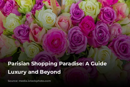 Parisian Shopping Paradise: A Guide to Luxury and Beyond