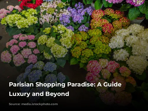 Parisian Shopping Paradise: A Guide to Luxury and Beyond