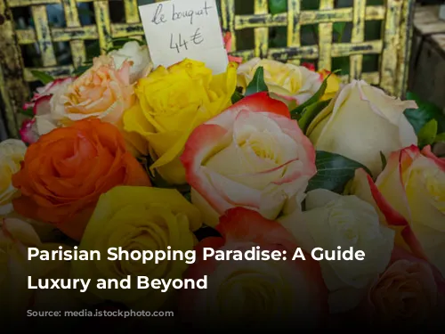 Parisian Shopping Paradise: A Guide to Luxury and Beyond