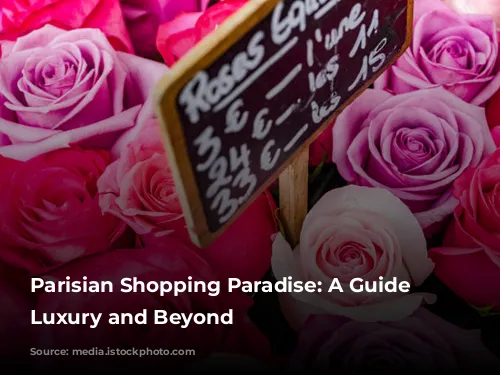 Parisian Shopping Paradise: A Guide to Luxury and Beyond