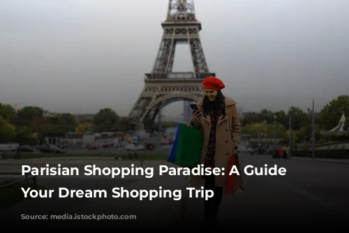  Parisian Shopping Paradise: A Guide to Your Dream Shopping Trip 