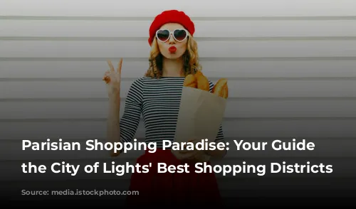 Parisian Shopping Paradise: Your Guide to the City of Lights' Best Shopping Districts