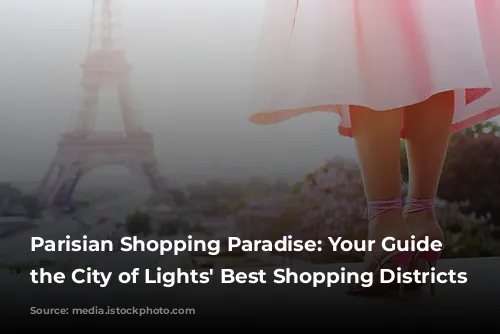 Parisian Shopping Paradise: Your Guide to the City of Lights' Best Shopping Districts