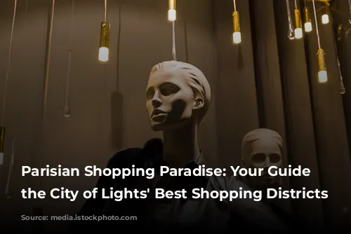 Parisian Shopping Paradise: Your Guide to the City of Lights' Best Shopping Districts