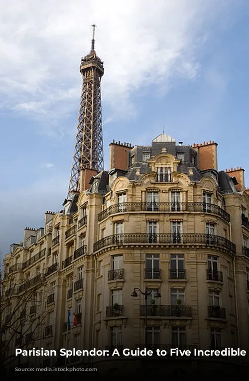 Parisian Splendor: A Guide to Five Incredible Hotels