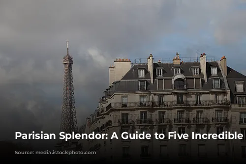 Parisian Splendor: A Guide to Five Incredible Hotels