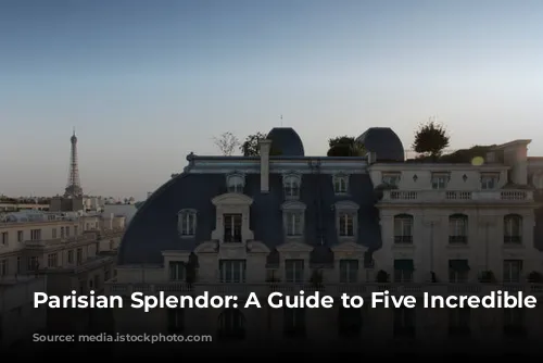 Parisian Splendor: A Guide to Five Incredible Hotels