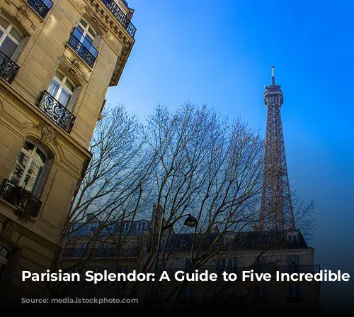 Parisian Splendor: A Guide to Five Incredible Hotels