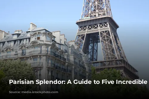 Parisian Splendor: A Guide to Five Incredible Hotels