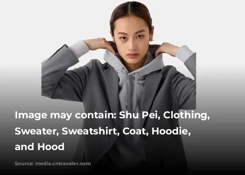 Image may contain: Shu Pei, Clothing, Knitwear, Sweater, Sweatshirt, Coat, Hoodie, Person, and Hood