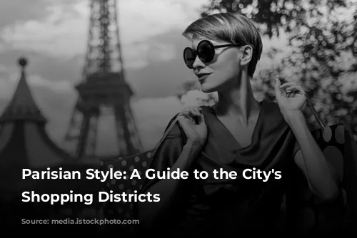 Parisian Style: A Guide to the City's Chic Shopping Districts