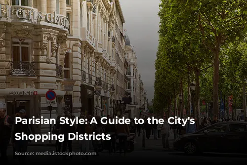 Parisian Style: A Guide to the City's Chic Shopping Districts