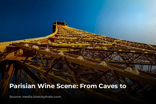  Parisian Wine Scene: From Caves to Neo-Bistros 