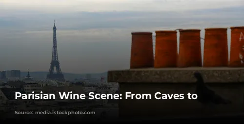  Parisian Wine Scene: From Caves to Neo-Bistros 